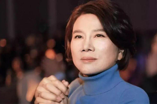 董老板500億財力準備，助力芯片行業(yè)發(fā)展